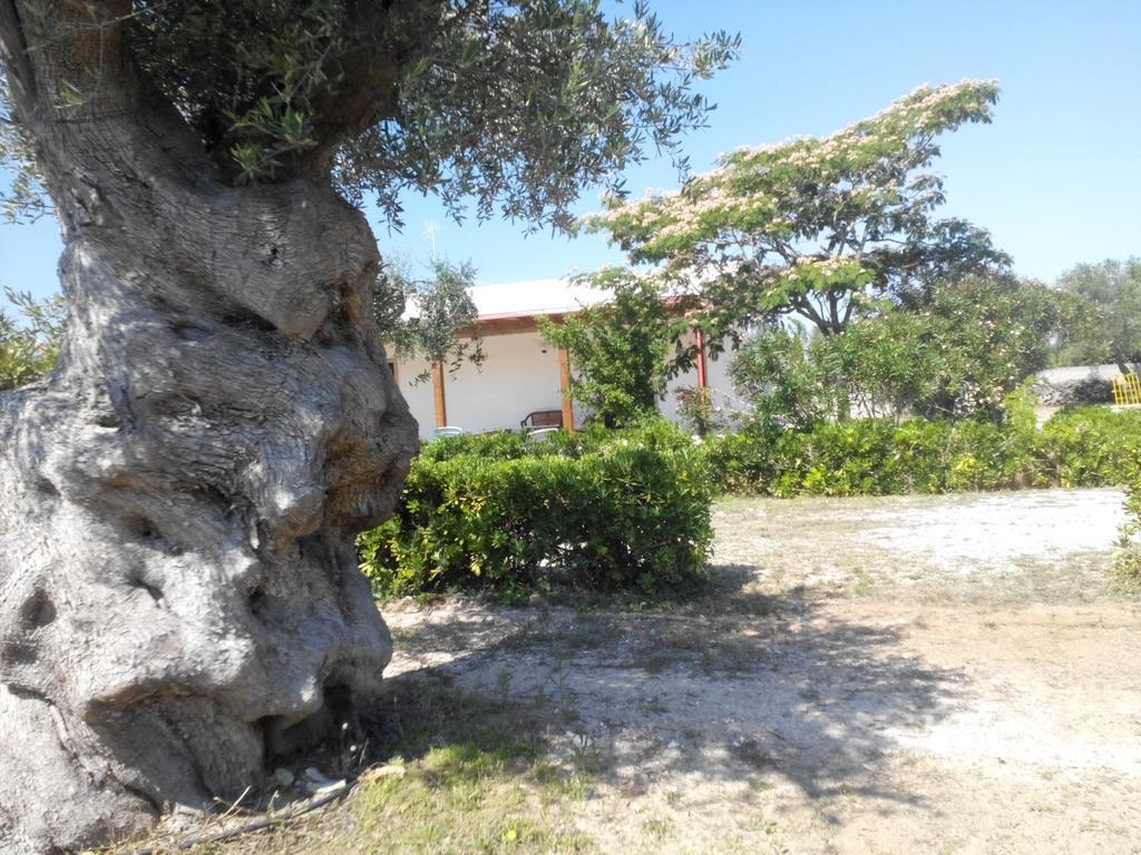 Agriturismo Villa Tommaso Torre dell'Orso Exteriör bild